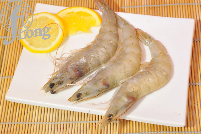 12 VANNAMEI SHRIMP HOSO带头整只南美白虾.JPG